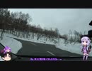 車載：５　上田城桜の戦い前日組
