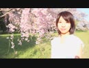 【Vivid_s】 さようなら、花泥棒さん 踊ってみた【saka】