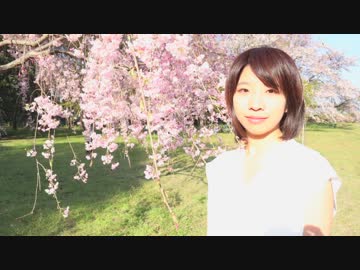 【Vivid_s】 さようなら、花泥棒さん 踊ってみた【saka】