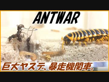 暴走した巨大ヤスデはだれにも止められない。