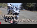 VFR800でさいたまの桜を見に行くよ　～長瀞の桜編～