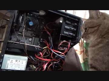 ＃92　PCが気になる？タタルさん