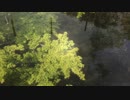 Tokyo Town : 朝の公園  夜景 三鷹市 : 2019/APR/18
