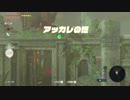 【拠点拡張】ゼルダの伝説　ブレスオブザワイルド　-The Legend of Zelda Breath of the Wild-【実況part22】