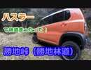 ハスラーで林道走ったった！②【勝地峠の勝地林道】