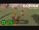 【実況】見落としが多い勇者の冒険part19【ブレスオブザワイルド】