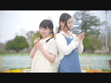 【ちかのとかげ】 ドライドライフラワー　踊ってみた 【淡咲みゆう】