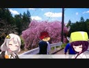 【ロードバイク】あかり・きりたんの自転車旅行EX　お花見ポタ編