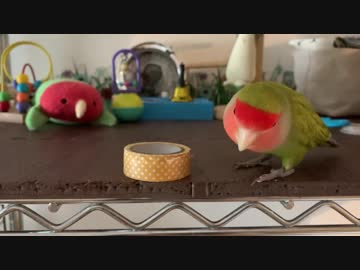 マスキングポイ捨てマシーン