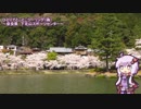【ゆっかり車載】＃00 試作動画～下北山スポーツ公園　花見ツーリング～