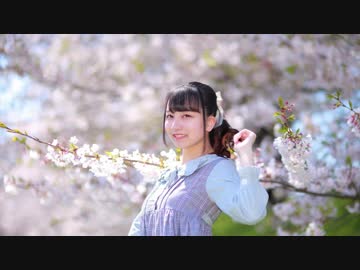 【ふう。】ハルイチ。　踊ってみた【春ギリギリ】