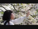 【Vivid_s/ソロ】  ハーゲンダッツ以下の殺風景 踊ってみた 【うはぎ】