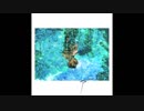Pale Blue - The fin.