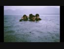 Divers - The fin.
