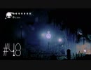 【第４８夜】眠れぬ夜のHOLLOW KNIGHT【実況】