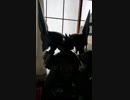 旅先にて・・・