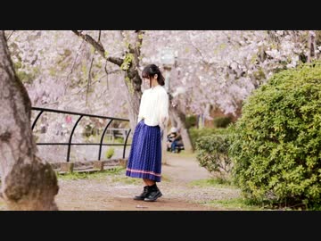 【セサミガール】春に一番近い街踊ってみた【しだれ桜の下で】