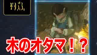 【ハイラル図鑑】ゼルダの伝説 ブレスオブザワイルド #2 ハイラル道具図鑑【実況】