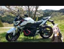 【笠森観音】 紲星あかり to ツーリング！ Part18 千葉県ぶらぶらツーリング 【大山千枚田】