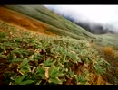 続・好きな音楽テーマ別うｐ・男Vo.編ⅩⅧ