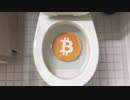 ビットコインをトイレに流してみた