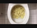 プリングルズをトイレに流してみた２