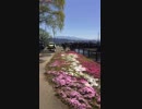 [旅行]安曇野･拾ヶ堰(じっかせぎ)　自転車広場の花を見ながら歩くだけの3分間