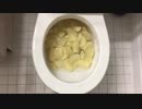 プリングルズをトイレに流してみた３
