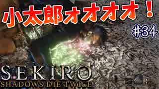 【SEKIRO】隻狼 初見実況プレイ~ガバガバ忍者大活劇~　#34