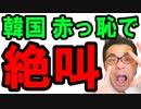 【韓国】日本の政府が韓国文在寅の特使を拒否！色々な意味で情けないと世界に赤っ恥を晒す！韓国終わったな…海外の反応 最新 ニュース速報『KAZUMA Channel』