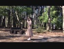 【梓緒菜】ハルイチ。【踊ってみた】