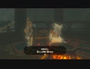 【ゼル伝BotW】100年の眠りから目覚めた勇者の冒険６３【もちまる】