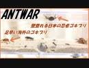 日本と海外ゴキブリ、同じエサ場に混ぜたらどっちが先にアリのエサになる？【前編】