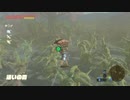 依頼を受けて、超高速で迷いの森を無理やり突破してみた