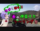 【ウナちゃん車載】雨男のバイク旅【春の伊豆スカツーリング！！】