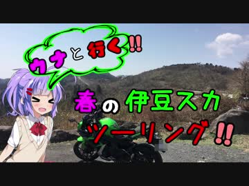 【ウナちゃん車載】雨男のバイク旅【春の伊豆スカツーリング！！】