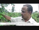 Farmer's Success  Growing more with less water - Zeba  UPL Product