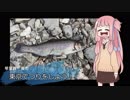 東京で釣りをしよう！　～第一回　恩方マス釣り場～
