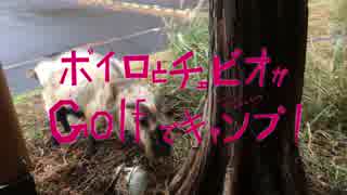[ボイロ＆CeVIO]ボイチェビがGolfでキャンプ #1-2 「細野高原ツリーハウス村キャンプ場」