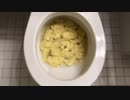 プリングルズをトイレに流してみた４
