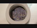 お金をトイレに流してみた３