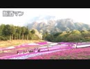 インスタ映え？芝桜の丘（羊山公園） | 埼玉県秩父市観光 バイク一人旅の思い出