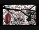 GSR400で行く【三春滝桜】
