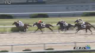 ペプチドフシチョウ　京都・3歳未勝利　2019年4月21日