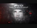 Djs From Mars - Avicii Tribute Megamashup