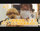 私のチャンネルはこんな動画を投稿しております。2019年チャンネル紹介動画