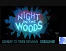 【実況プレイ】NIGHT IN THE WOODS【第3回】