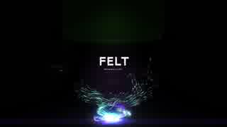 FELT 28th Album | Illstarred Dive