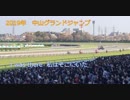 2019年　中山グランドジャンプ　現地撮影レース　I was there 次は宝塚記念？！