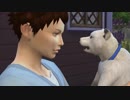 【Sims4】あおい海と森の動物病院 Part2【ゆっくり実況】